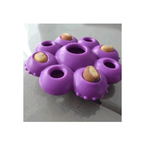 Kong Quest Star Çiçek Şeklinde Köpek Oyuncağı