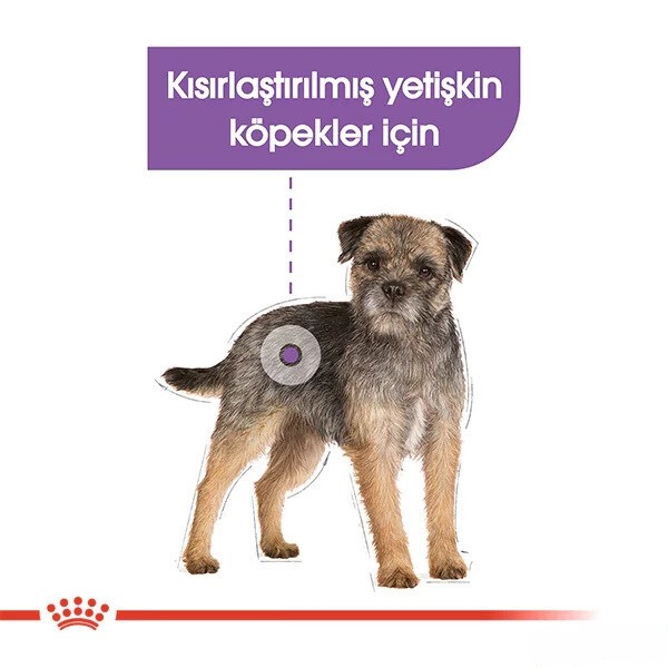 Royal Canin Sterilised Pouch Konserve Köpek Maması