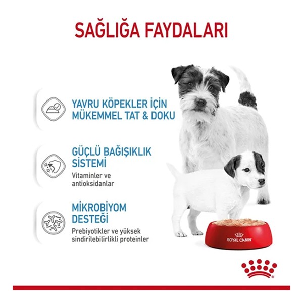 Royal Canin Starter Mousse Yavru Konserve Köpek Maması