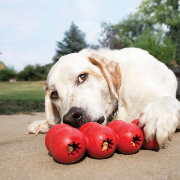 Kong Goodie Ribbon Çoklu Top Şeklinde Köpek Oyuncağı