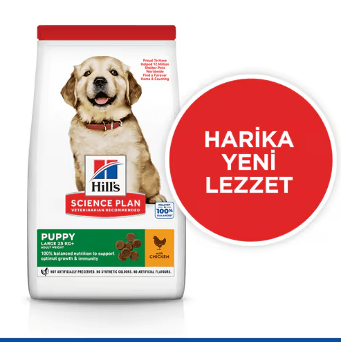 Hills Puppy Large Breed Tavuklu Büyük Irk Yavru Köpek Maması