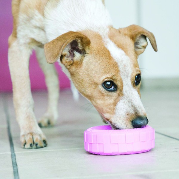 Kong Lastik Şeklinde Kauçuk Yavru Köpek Oyuncağı