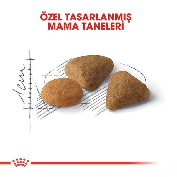 Royal Canin Exigent Savour Seçici Yetişkin Kedi Maması