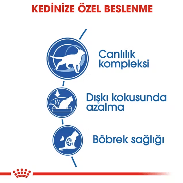 Royal Canin İndoor 7+ Senior Yaşlı Kedi Maması