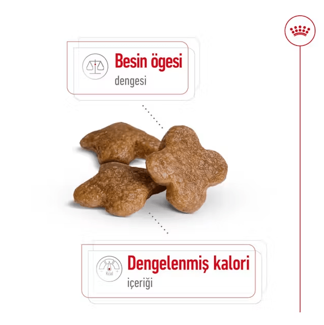 Royal Canin Mini Adult 8+ Küçük Irk Yaşlı Köpek Maması