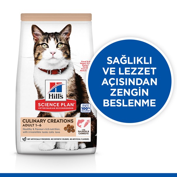 Hills Culinary Creations Somonlu ve Havuçlu Yetişkin Kedi Maması