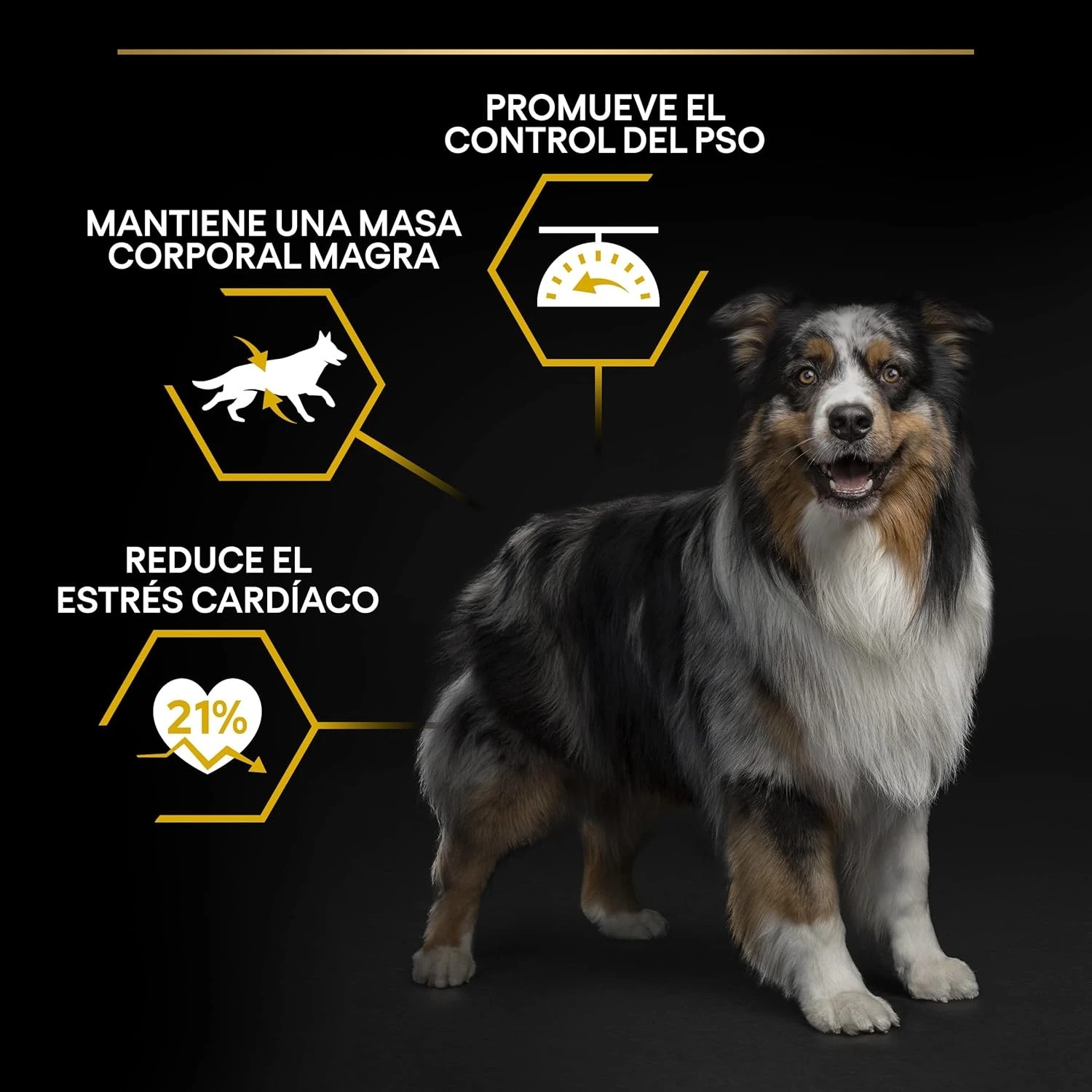 Pro Plan Light Sterilised Beyaz Balıklı Kısırlaştırılmış Yetişkin Köpek Maması