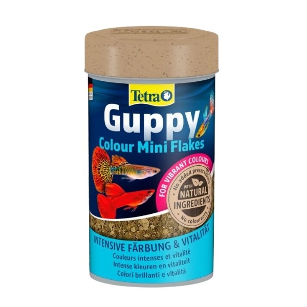 Tetra Guppy Colour Mini Flakes Lepistes Pul Balık Yemi