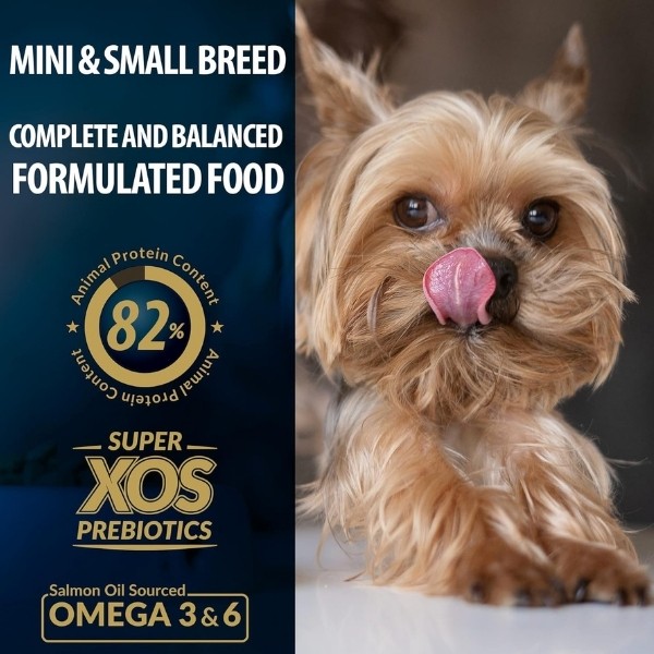 Reflex Plus Adult Somonlu Küçük Irk Yetişkin Köpek Maması
