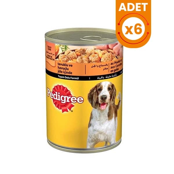 Pedigree Mama ile Köpeklerde Cilt ve Tüy Sorunlarına Etkili Çözümler 