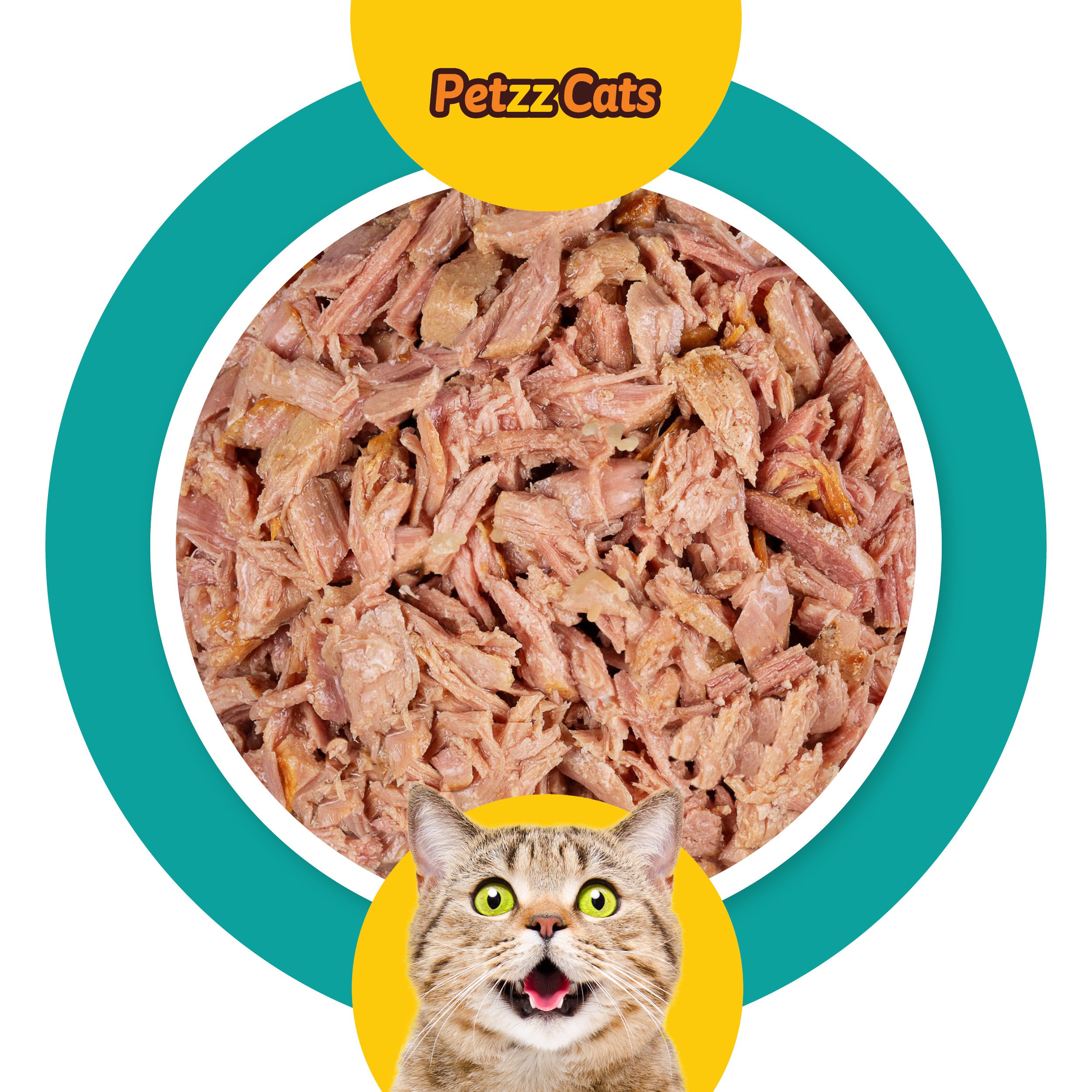 PetzzCats Ton Balığı Konserve Kedi Maması