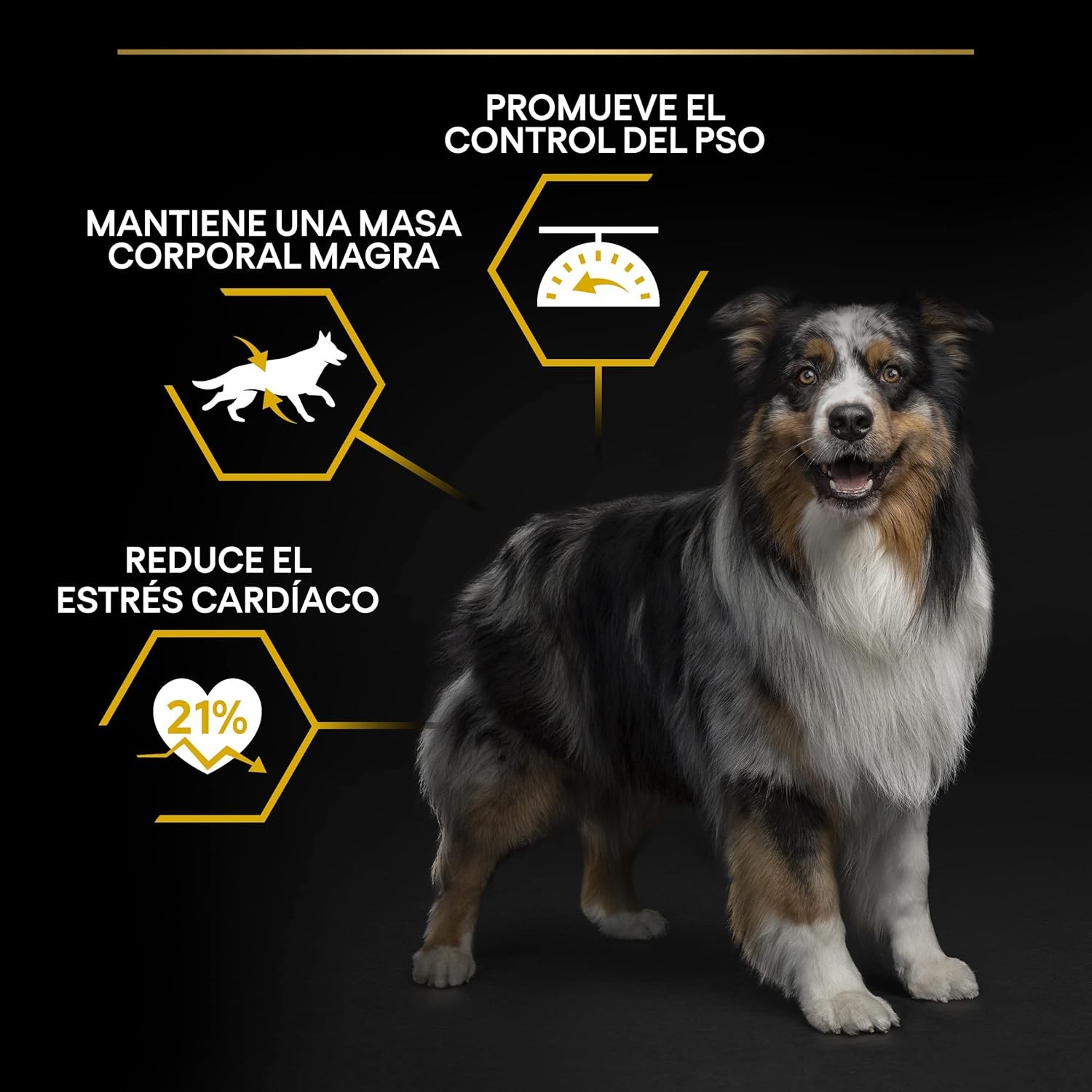 Pro Plan Light Sterilised Beyaz Balıklı Kısırlaştırılmış Yetişkin Köpek Maması
