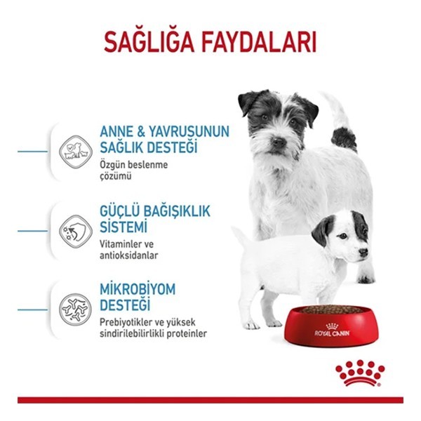 Royal Canin Mini Starter Yavru Köpek Maması