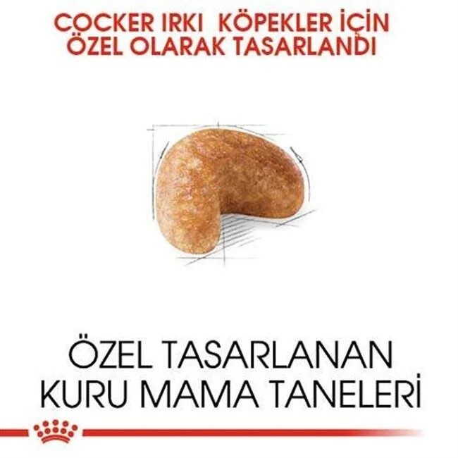 Royal Canin Cocker Adult Yetişkin Köpek Maması