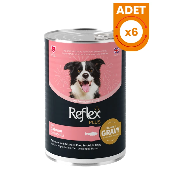Reflex Plus Sos İçinde Somonlu Yetişkin Konserve Köpek Maması - 6 Adet 400 Gr