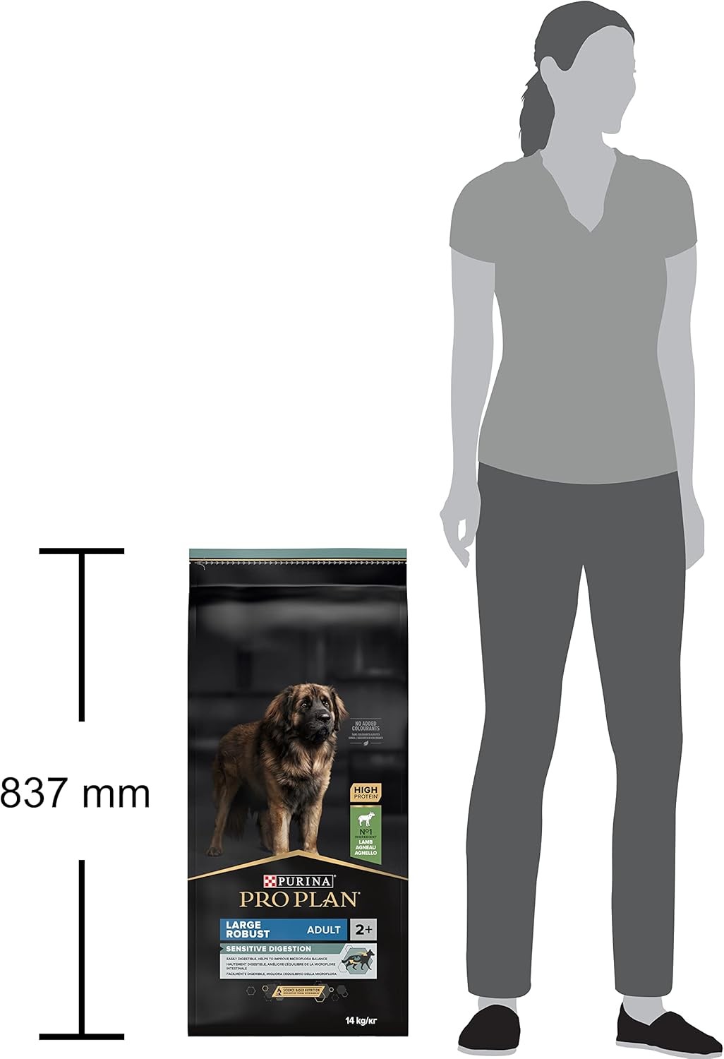 Pro Plan Large Robust Büyük Irk Kuzu Etli Yetişkin Köpek Maması