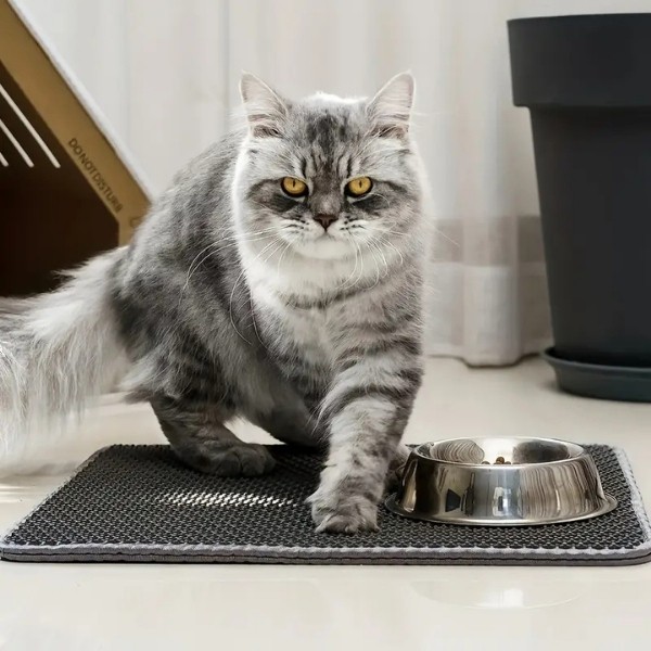 Cattie Altıgen Model Kum Toplayıcı Fonksiyonel Kedi Paspası