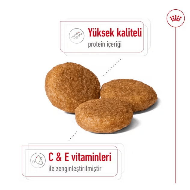 Royal Canin Medium Adult Yetişkin Köpek Maması
