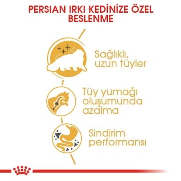 Royal Canin Persian Adult Yetişkin İran Kedisi Maması