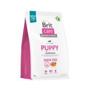 Brit