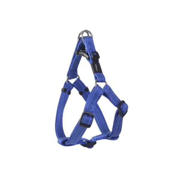 Yorkshire Terrier için En İyi 10 Aksesuar: Seçim Rehberi ve Öneriler 