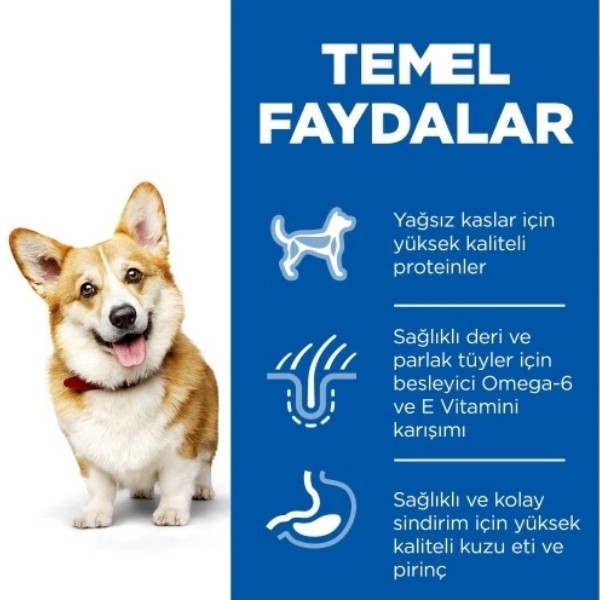 Hills Small Mini Küçük Irk Kuzulu Yetişkin Köpek Maması