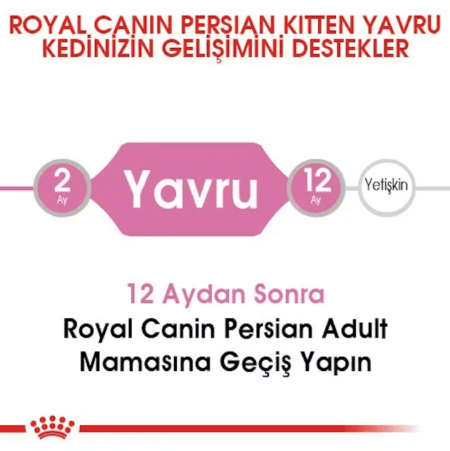 Royal Canin Persian Kitten Yavru İran Kedisi Maması