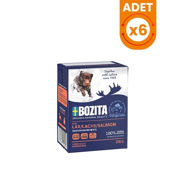 Bozita Somon Balıklı Tahılsız Köpek Konservesi