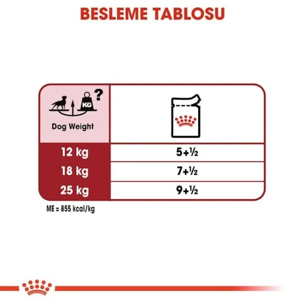 Royal Canin Medium Adult Gravy Yetişkin Konserve Köpek Maması