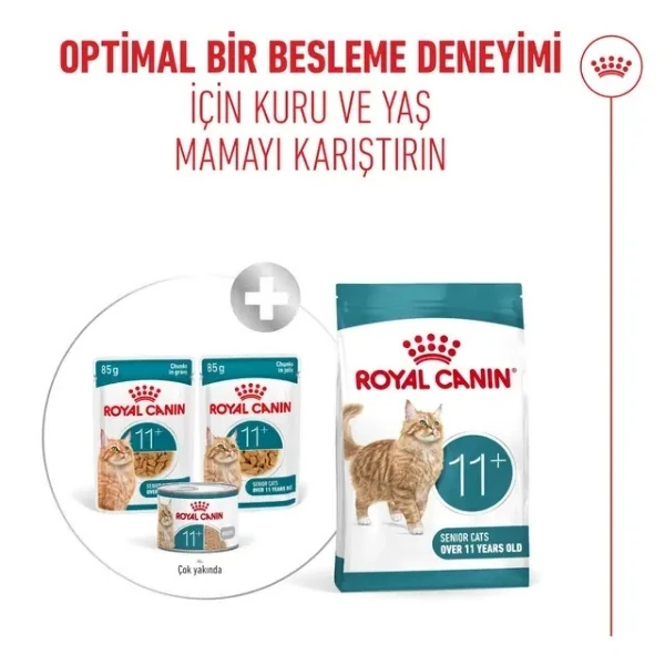 Royal Canin Healthy Ageing 11+ Sos İçinde Pouch Yaşlı Konserve Kedi Maması - 85 Gr 12 Adet
