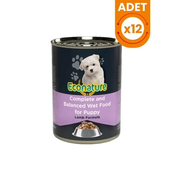 Chihuahua İçin En İyi 10 Mama: Sağlıklı ve En Çok Tercih Edilenler Chihuahua İçin En İyi 10 Mama: Sağlıklı ve En Çok Tercih Edilenler