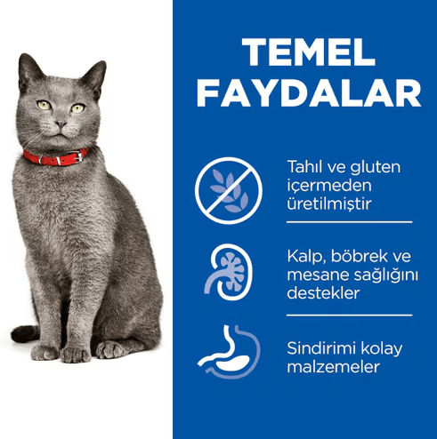 Hills Tahılsız Tavuklu Yaşlı Kedi Maması