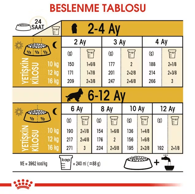 Royal Canin Cocker Junior Yavru Köpek Maması