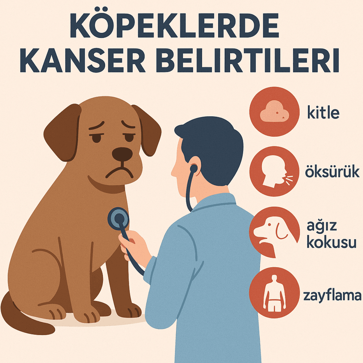 Köpeklerde Kanser Belirtileri