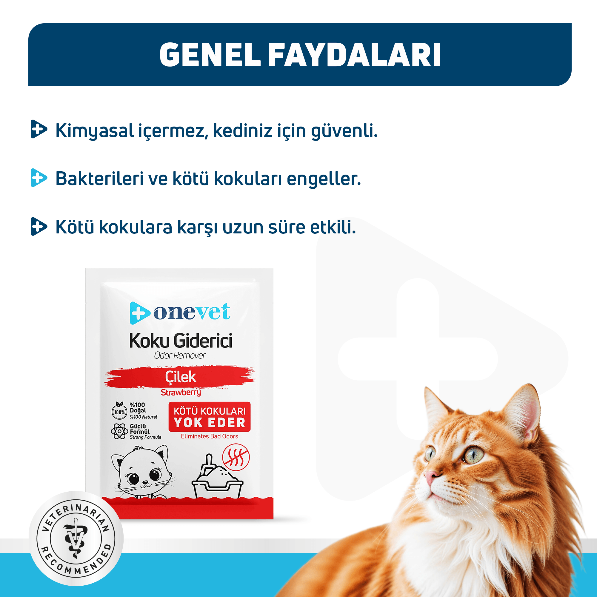 OneVet Kedi Kumu Koku Giderici