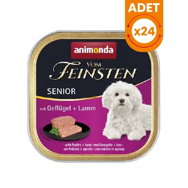 Yaşlı Köpekler İçin En İyi 10 Mama: Veteriner Onaylı Seçimler Yaşlı Köpekler İçin En İyi 10 Mama: Veteriner Onaylı Seçimler