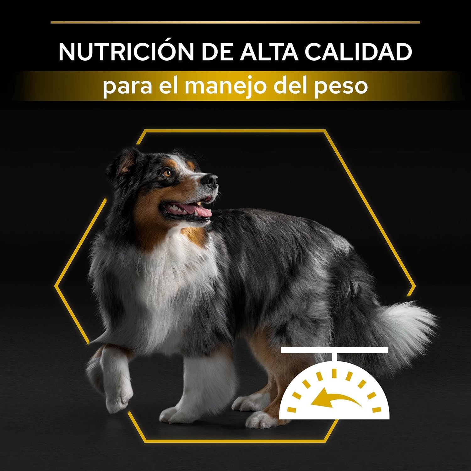 Pro Plan Light Sterilised Beyaz Balıklı Kısırlaştırılmış Yetişkin Köpek Maması