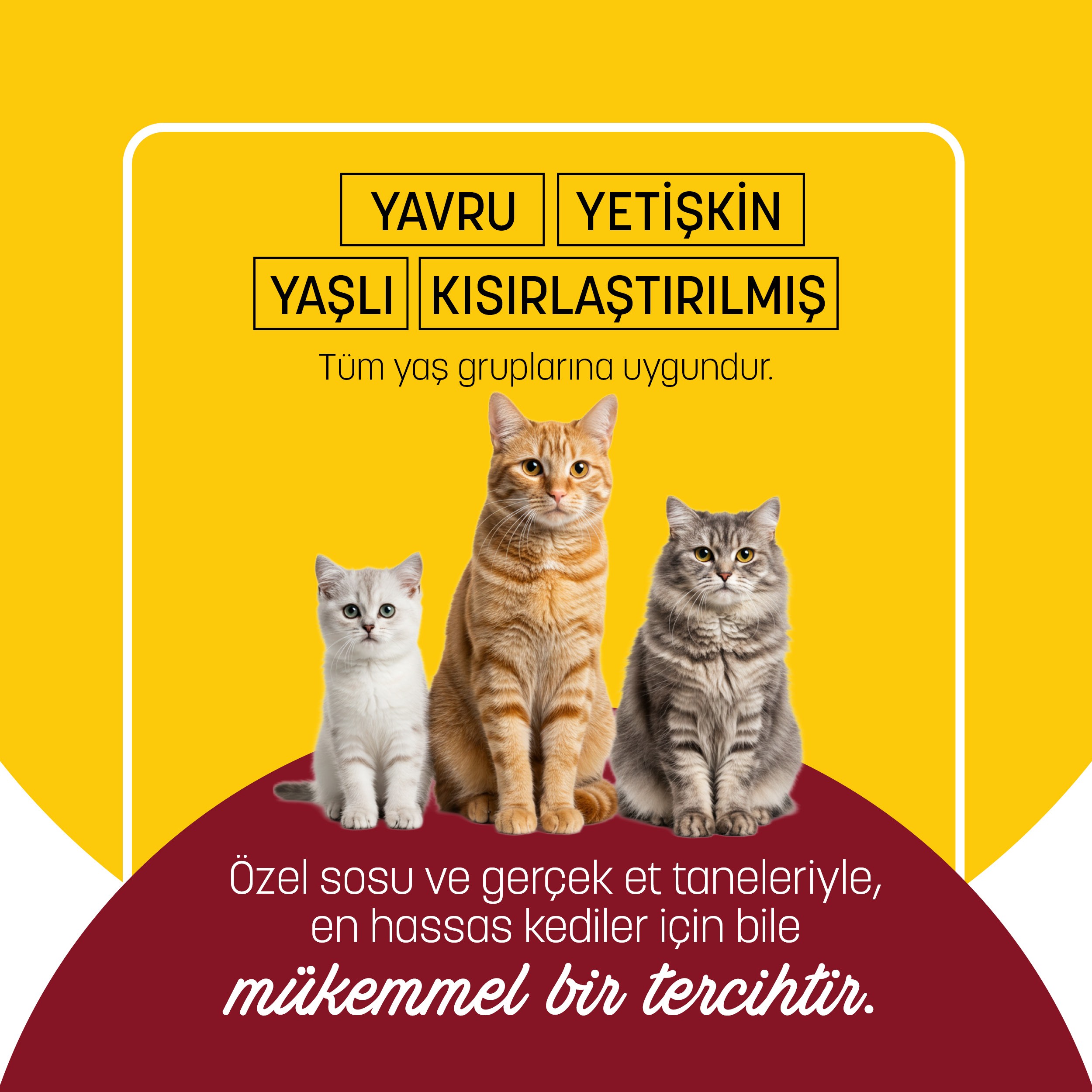 PetzzCats Tavuk & Kalamar Konserve Kedi Maması