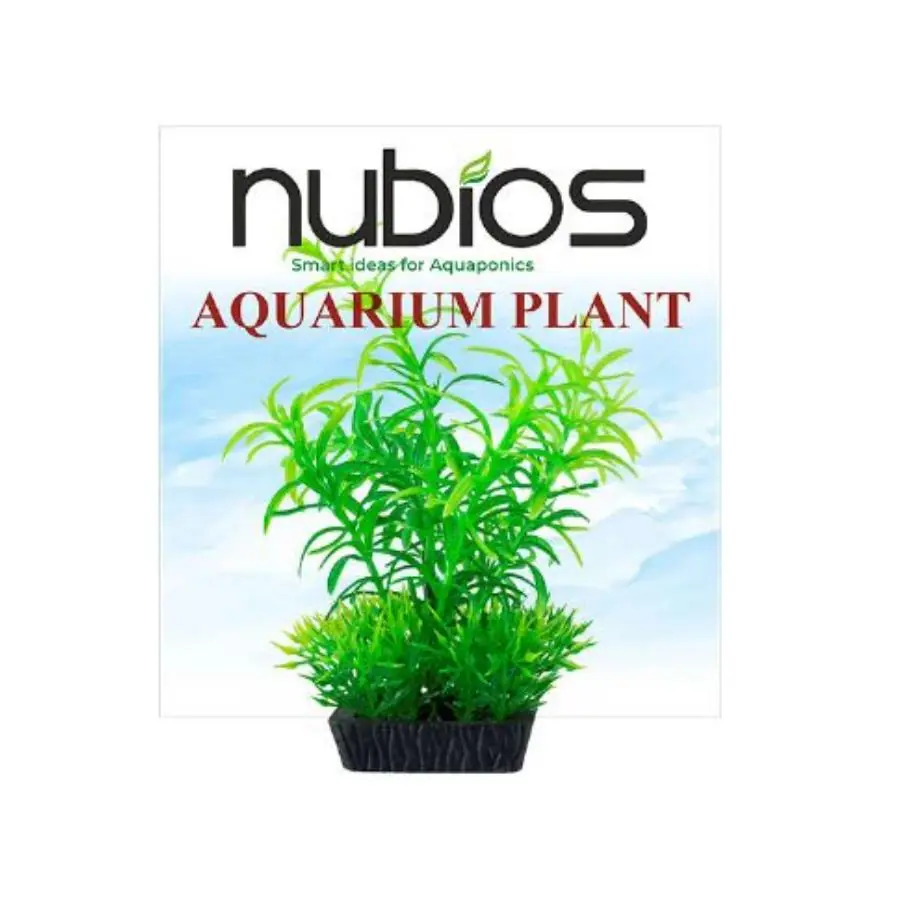 Nubios Kare Tabanlı Plastik Bitki