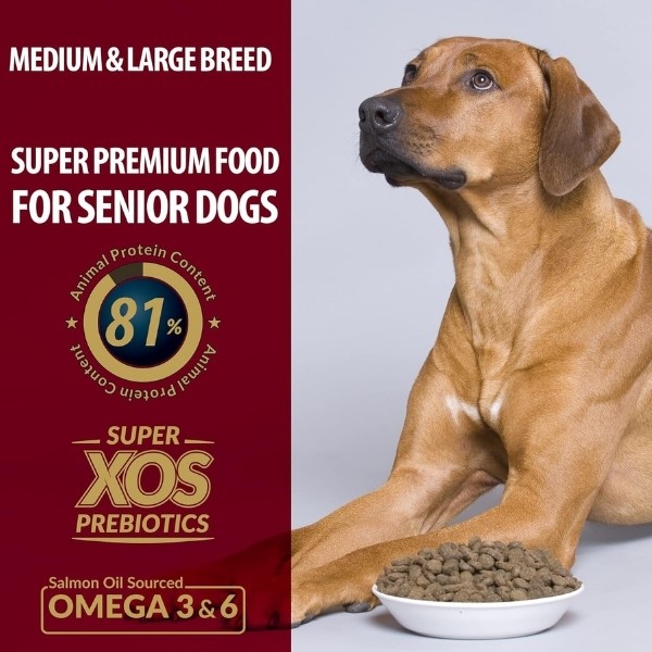 Reflex Plus Kuzulu Orta ve Büyük Irk Yaşlı Köpek Maması