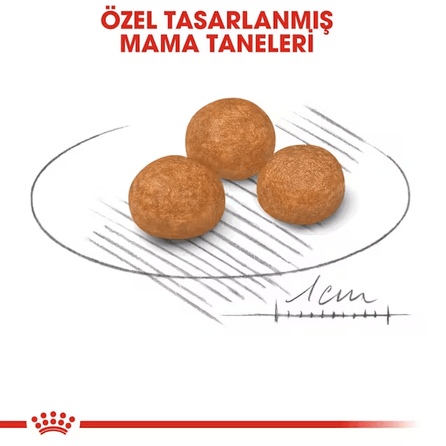 Royal Canin Xsmall Adult Yetişkin Köpek Maması