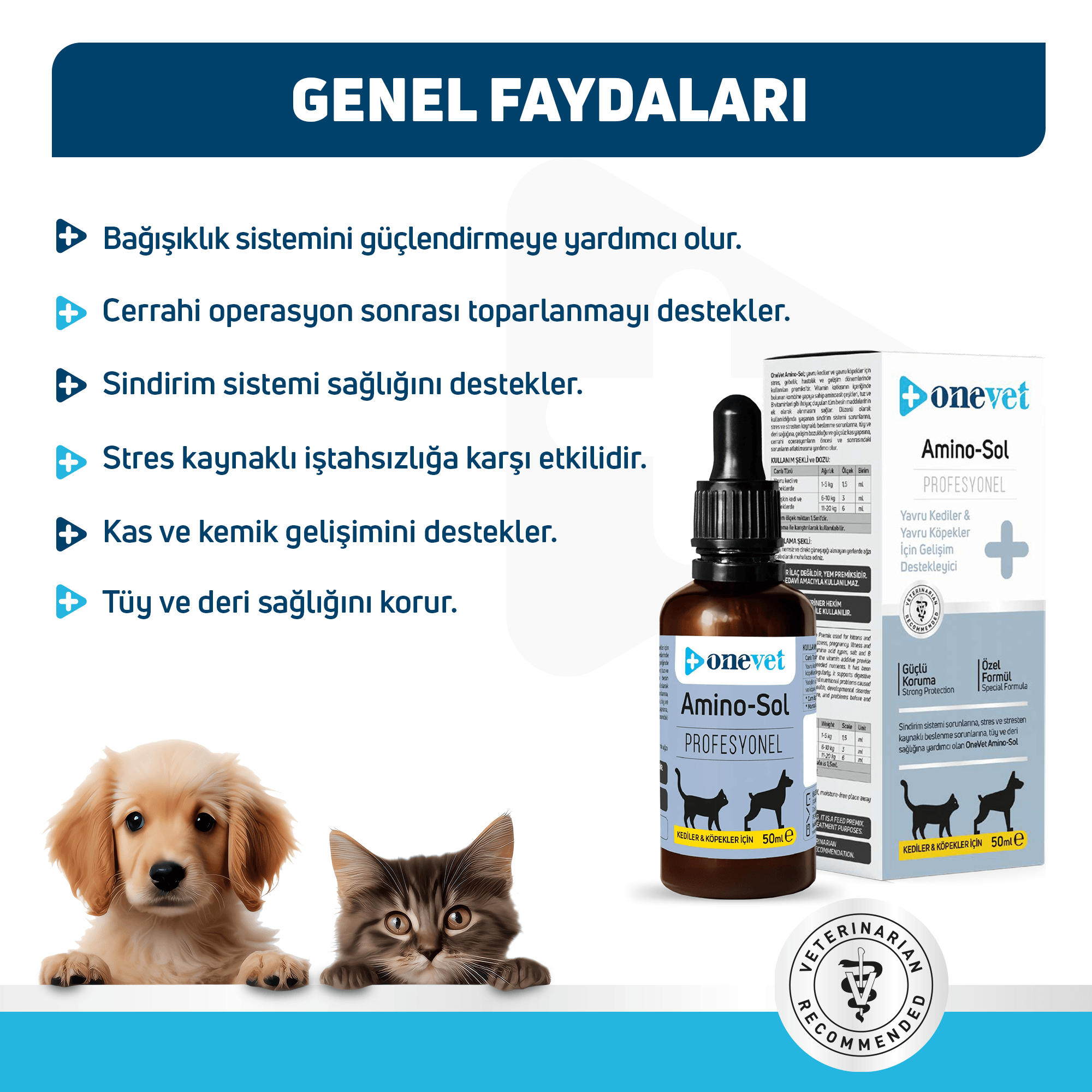 OneVet Amino-Sol Yavru Kedi ve Köpekler İçin Gelişim Destekleyici Damla