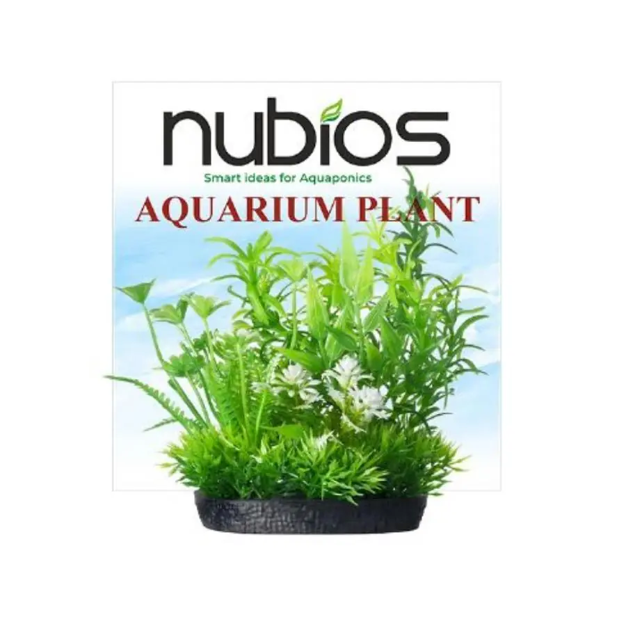 Nubios Kare Tabanlı Plastik Bitki