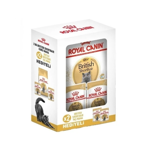 Royal Canin British Shorthair Adult Yetişkin Kedi Maması