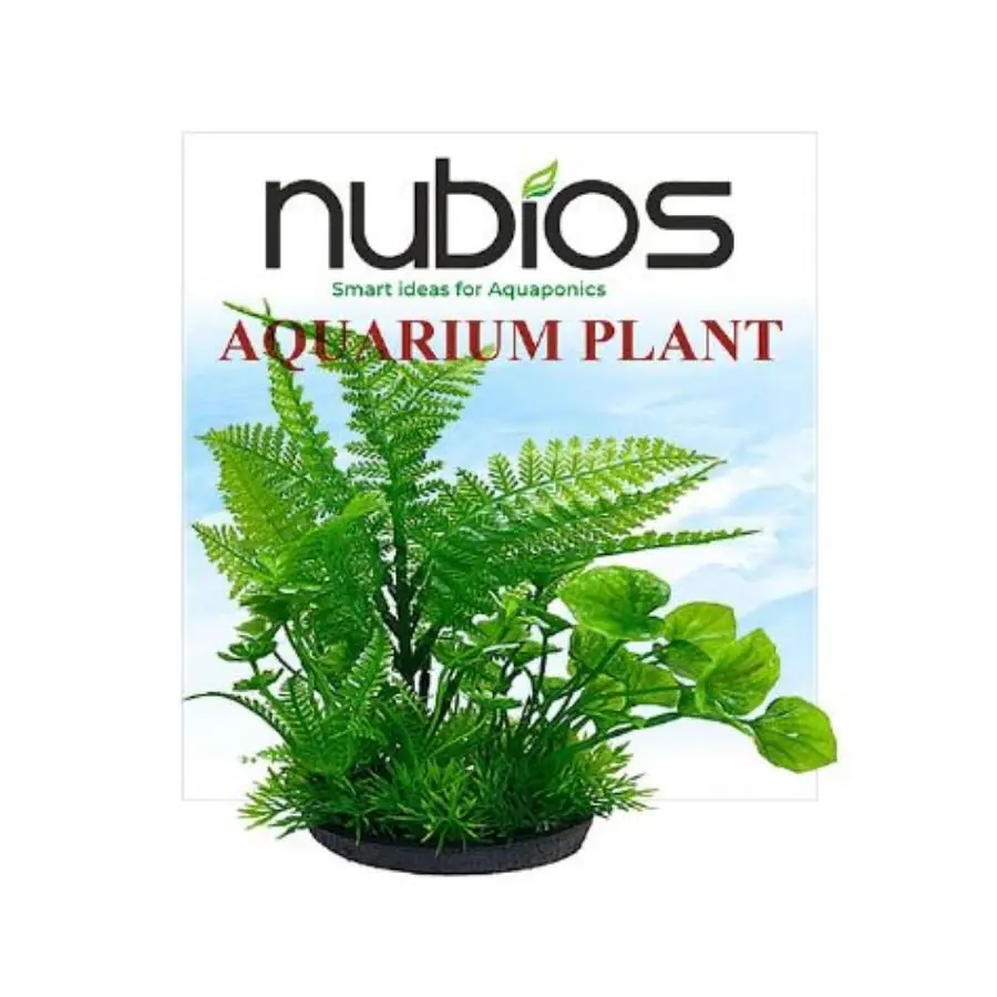 Nubios Kare Tabanlı Plastik Bitki