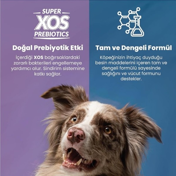 Reflex Plus Kuzulu Orta ve Büyük Irk Yaşlı Köpek Maması