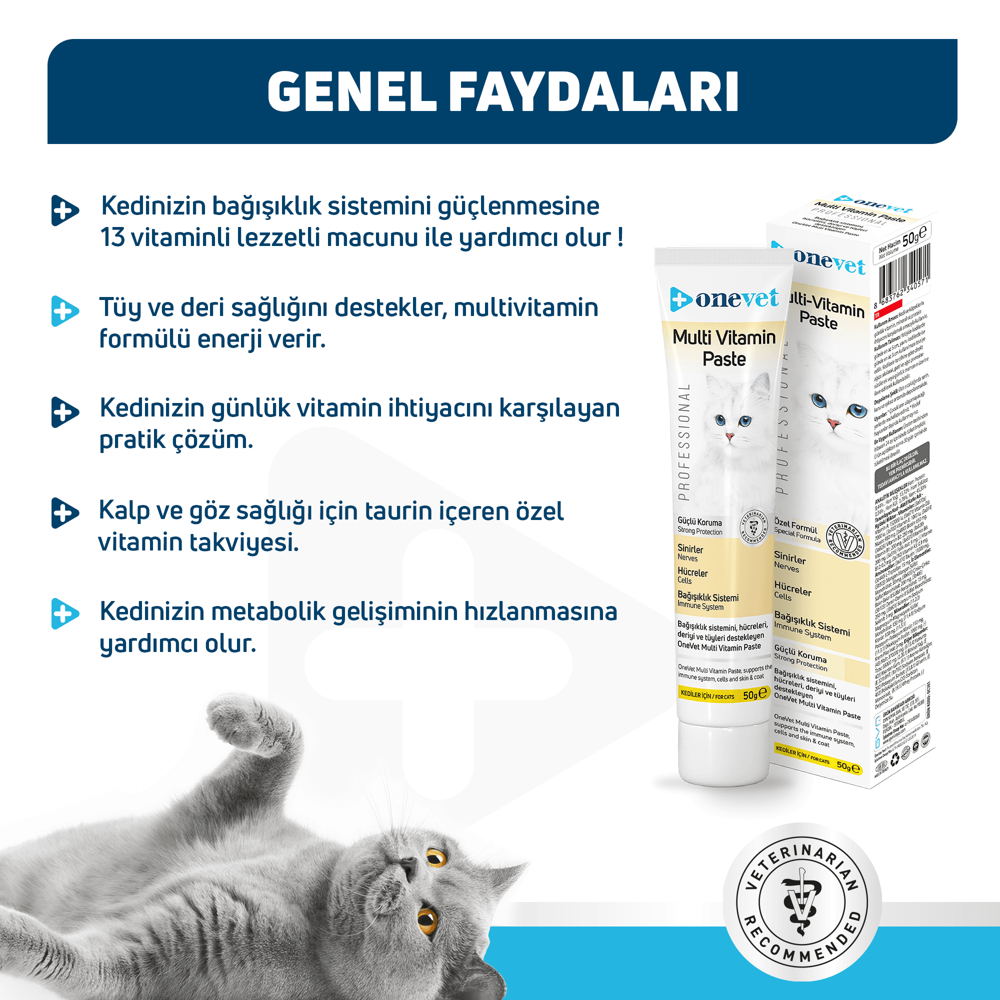 OneVet Multi Vitamin Paste Bağışıklık Destekleyici Kedi Maltı