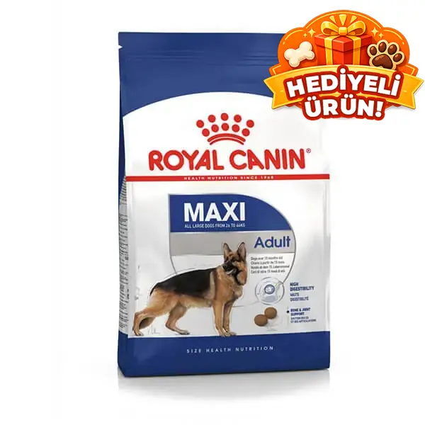 Royal Canin Maxi Adult Büyük Irk Yetişkin Köpek Maması