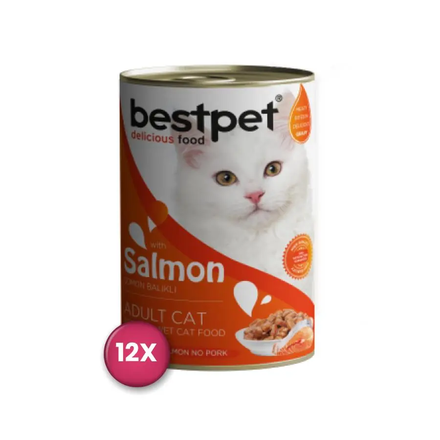 Bestpet Somonlu Yetişkin Kedi Konservesi
