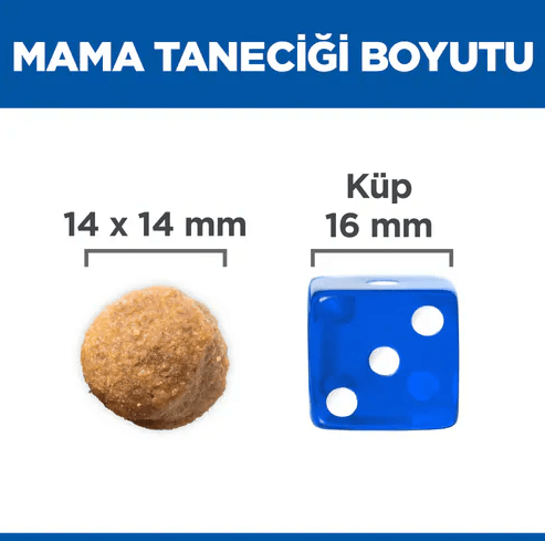 Hills Büyük Irk Kuzu Etli Yetişkin Köpek Maması